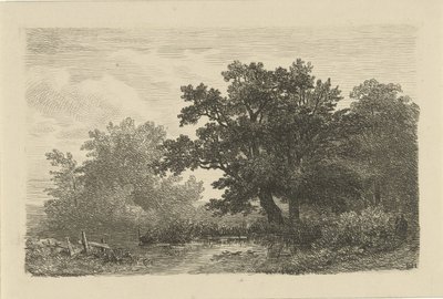 Trees by a Pond by Remigius Adrianus Haanen