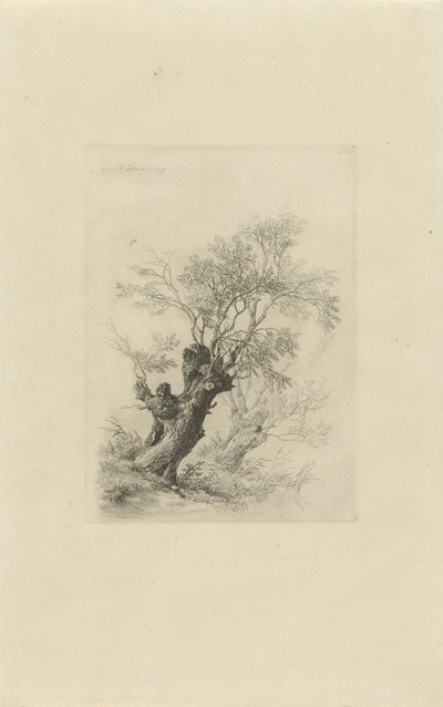 Willow Tree by Remigius Adrianus Haanen
