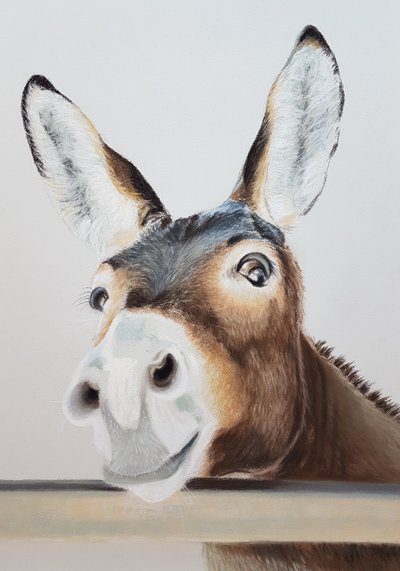 Cheeky Donkey by Renate Dohr