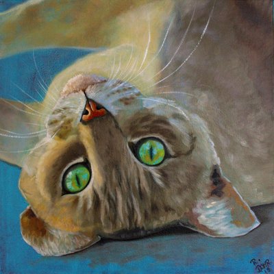 Cat Happiness by Renate Dohr