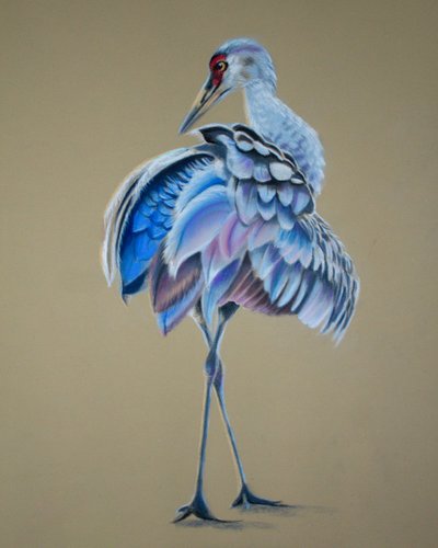 Crane by Renate Dohr