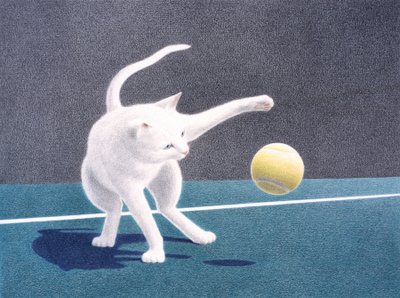 Bounce by Rene Boin