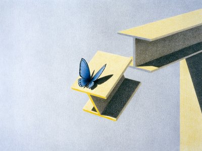 Butterfly by Rene Boin