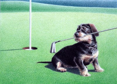 Dachshund by Rene Boin