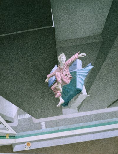 Falling by Rene Boin