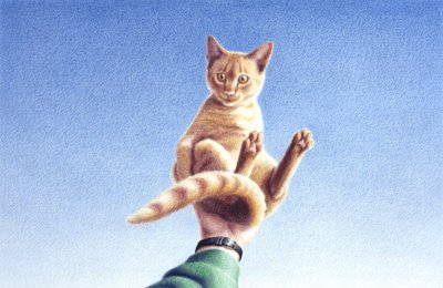 Handfull by Rene Boin