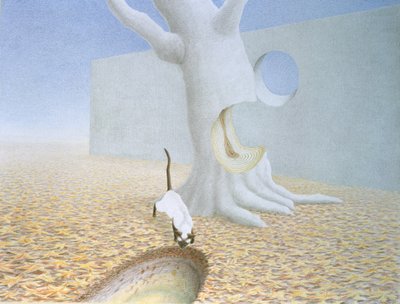 Holes by Rene Boin