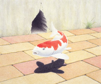 Koi by Rene Boin