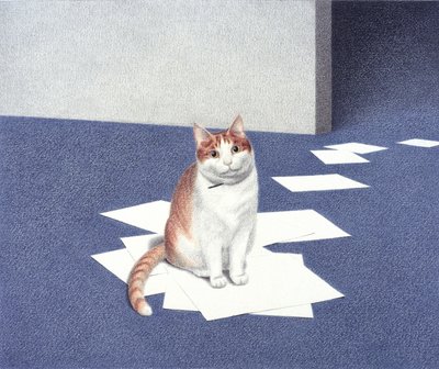 Papers by Rene Boin