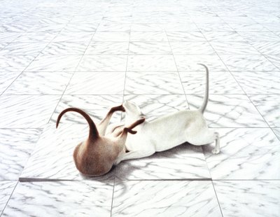Playing by Rene Boin