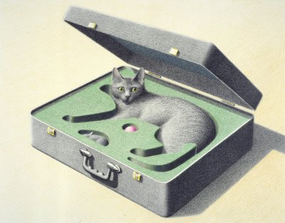 Travelcase 1 by Rene Boin