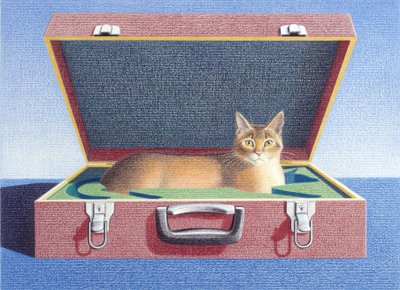 Travelcase 2 by Rene Boin