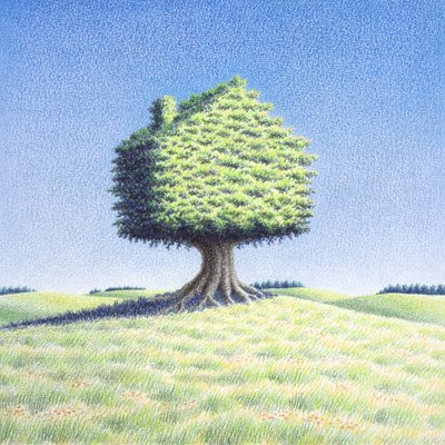 Treehouse by Rene Boin