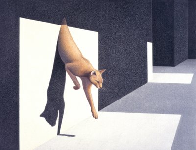 Wall by Rene Boin
