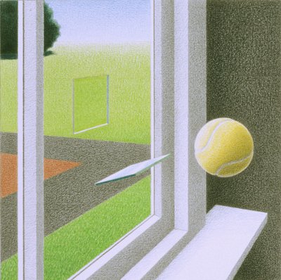 Window by Rene Boin