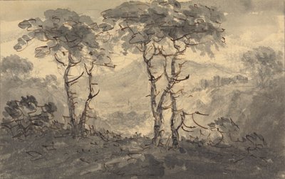Fir Trees in a Mountain Landscape by Rev. William Gilpin
