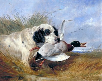 Dog with Wild Duck by Richard Ansdell