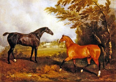 Equestrian Scene by Richard Barrett Davis