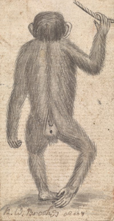 Monkeys (one of three on one mount) by Richard Brookes