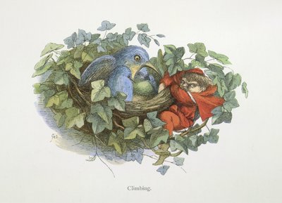Climbing by Richard Doyle