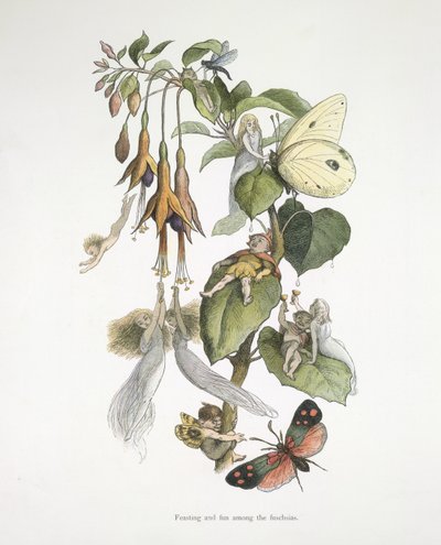 Feasting and Fun Among the Fuschias by Richard Doyle