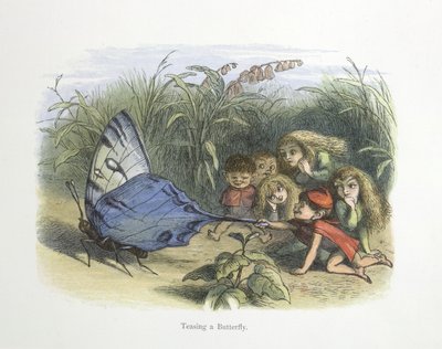 Teasing a Butterfly by Richard Doyle