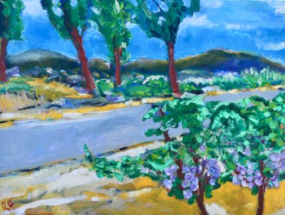 Roadside Vineyard, Napa by Richard Fox