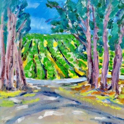 Vineyard Beyond the Trees by Richard Fox