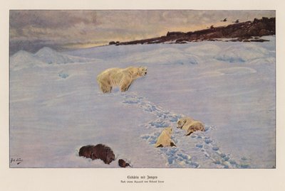 Polar Bear and Cubs by Richard Friese