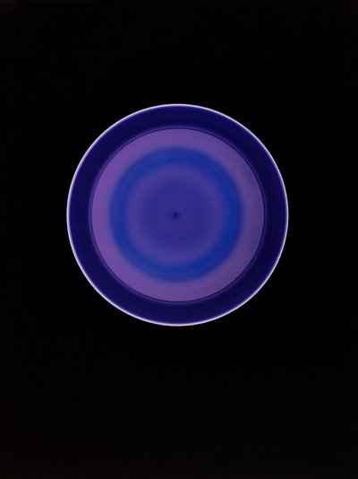 Untitled, 2004 by Richard Green