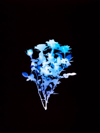 Untitled, 2008 by Richard Green