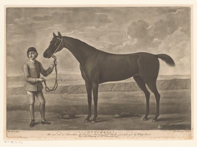 Racehorse with jockey by Richard Houston