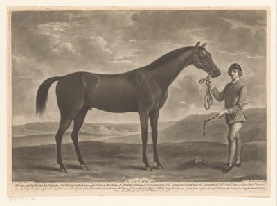 Racehorse with Jockey by Richard Houston