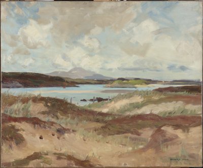 Anglesey by Richard Jack