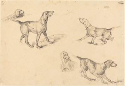 Five Studies of a French Pointer by Richard Parkes Bonington