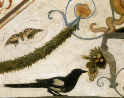 R. Ghirlandaio, Grotesque, Bird by Ridolfo Ghirlandaio