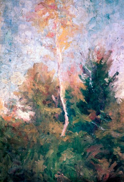The Birch by Rihard Jakopic