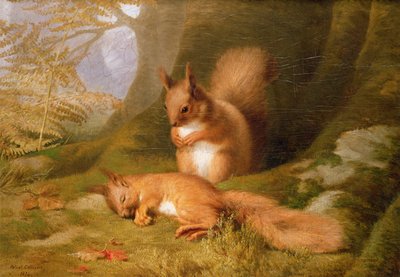 Squirrels in a Wood by Robert Collinson