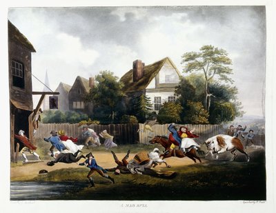 A Mad Bull by Robert Dodd