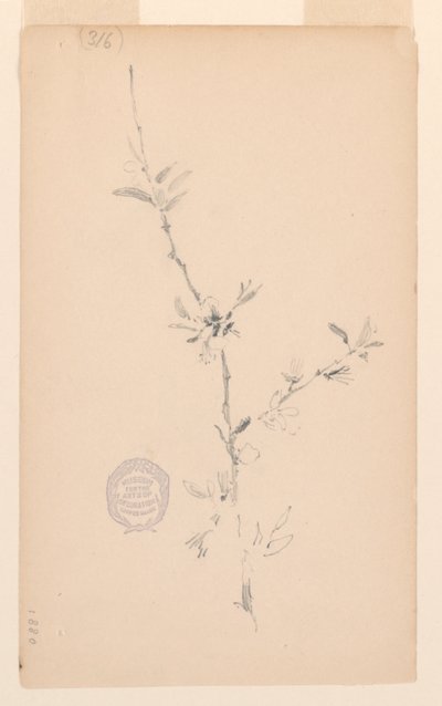 Bough by Robert Frederick Blum