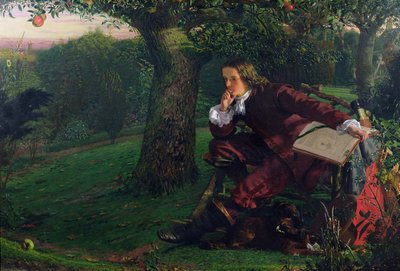 Master Isaac Newton by Robert Hannah