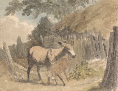 A Donkey and Foal by Robert Hills