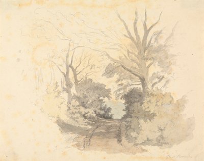 A Lane, Great Borside by Robert Hills