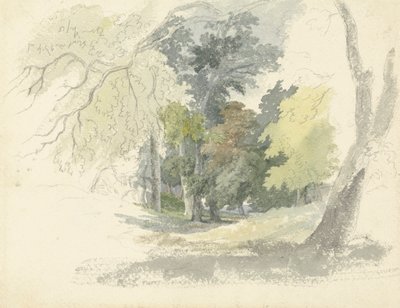 A Woodland Glade by Robert Hills