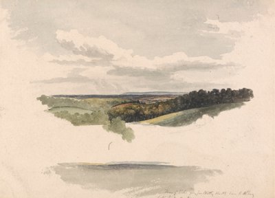 Between Netley Heath and Albury by Robert Hills