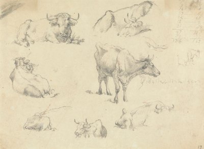 Cows From Various Angles by Robert Hills