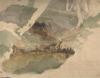 Forest Pool by Robert Hills