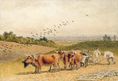 Oxen Ploughing a Downland Field by Robert Hills