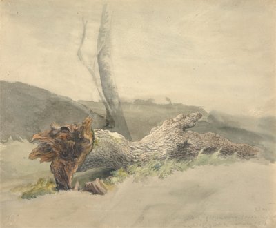 The Fallen Tree by Robert Hills