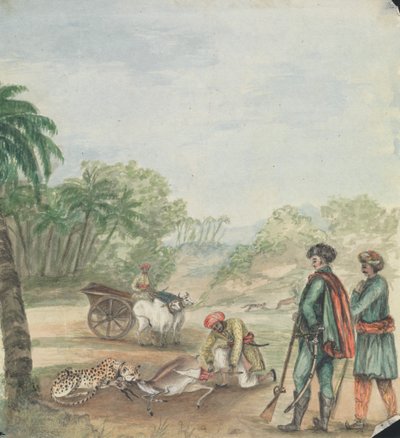 A Cheetah Hunt by Robert Mabon